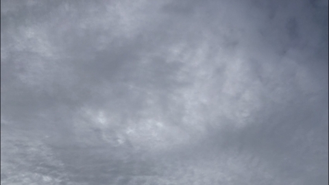 社交媒体项目展示