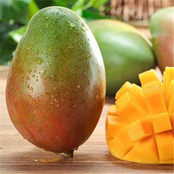 在线教育项目展示