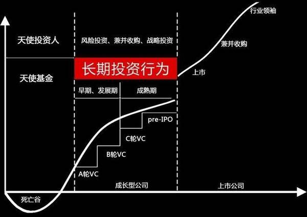 社交媒体项目展示